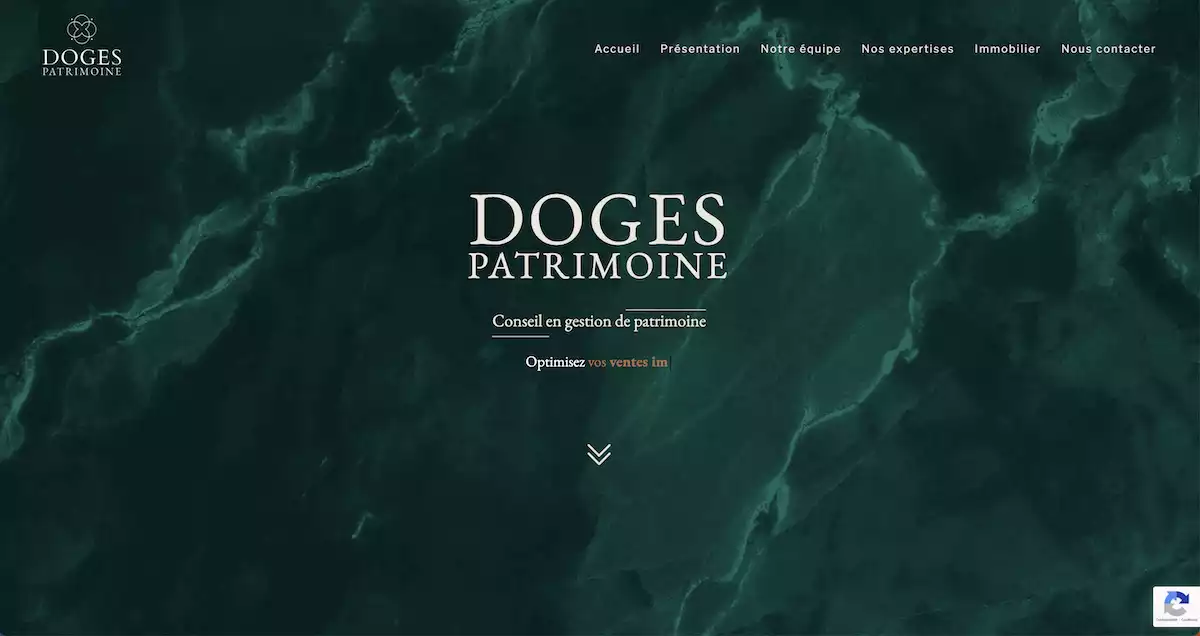 page d'accueil dogespatrimoine.fr